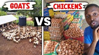 Goats Vs Chickens: Which is More Profitable? Ask the Expert Q & A