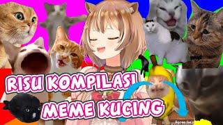 Kompilasi Risu Niruin Meme Kucing
