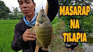 Nangawil kami ng TILAPIA Part 1