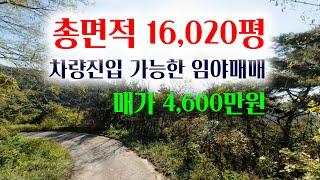 [1275-2][임야매매] 총면적 16,020평, 임도가 접해 차량진입이 가능한 임야, 총매가 4,600만원