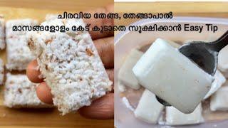 How To Store Coconut & Coconut Milk For Long Malayalam || തേങ്ങ , തേങ്ങാപാൽ കേട് കൂടാതെ സൂക്ഷിക്കാൻ