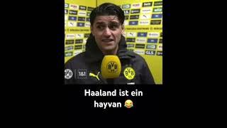 Legendäres Dahoud Interview zu Haaland  #bvb #haaland #meme #bundesliga