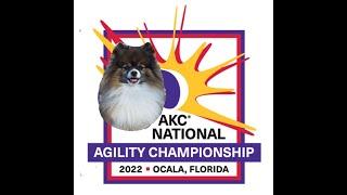 Woody-Wolf 2022 National Agility Championship