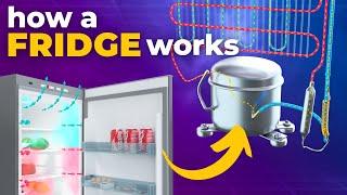 How does a Refrigerator work? 3D Animation