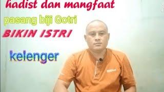 hasiat dan kegunaan biji guli guli    #gotri#guliguli#cageg33channel