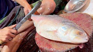 How To Cut Big Hilsa With Huge Eggs | Fish Cutting Skills