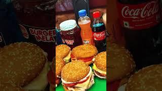 Burger Mela Jodhpur || Jain, Satvik and Vegetarian Burgers Spot at Jodhpur || Jodhpur Food