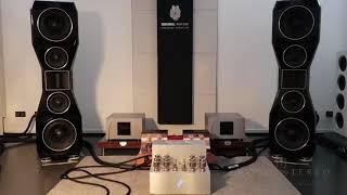 Göbel High End Divin Noblesse speakers and Trulife Audio