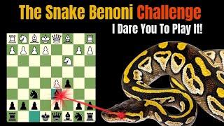 The Snake Benoni Challenge