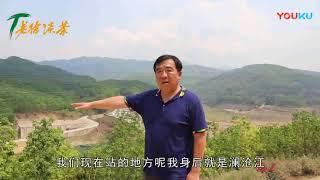 【老徐谈茶】第八十五期：进村过检查，自己采茶，还买不到真正的昔归古树？