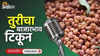 Cotton, Soybean Market: कापूस बाजारभाव, सोयाबीन भाव, मका बाजार, आले दर  | Agrowon