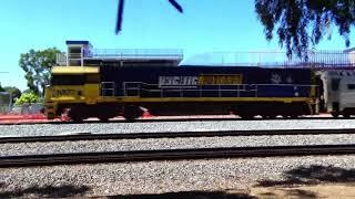 NR 77 on the  Indian Pacific, is allowed to proceed thru' Midland Station at 2.45pm. Sat 23.11.2024.