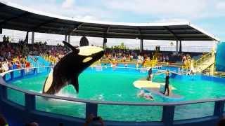 Miami Seaquarium.