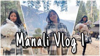 Manali vlog 1|| Hidimba Devi temple| Mall Road| #manali #manalitrip #youtube #creator #poonampbisht