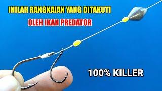 Inilah rangkaian pancing paling Killer untuk ikan Predator