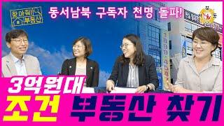 [찾아줘 부동산 8시 방송] 네오비 동서남북 구독자 1000명 돌파! 기획 영상 3억원대 조건 부동산 찾기!_네오비동서남북