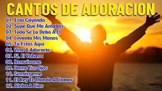 PODEROSAS ALABANZAS CRISTIANAS ADORACION - MUSICA CRISTIANA DE ADORACION PARA ORAR -MUSICA CRISTIANA