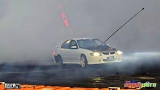 "YTFS" SMOKING OUT SPRINGNATS 