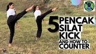 5 basic Pencak Silat  | Kicks and how to counter!