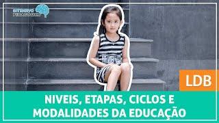 NÍVEIS, ETAPAS, CICLOS E MODALIDADES da Educação na LDB