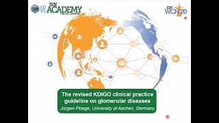 KDIGO Glomerular Diseases Guideline Update Review: Part 1