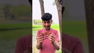 তিন ভাইয়ের ফানি ভিডিও!!  #comedy #funny #banglafunny