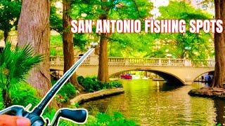 SWEET SPOTS Fishing EASY in San Antonio, Texas #fishing #bassfishing #fishingvideo