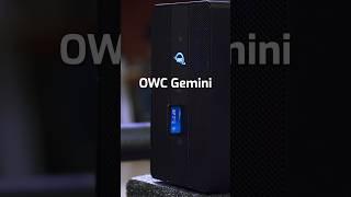 Gemini is the Ultimate Solution for Content Creators | OWC #contentcreator #editing #influencer #owc