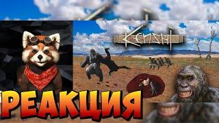 Я поиграл в Kenshi, так что вам не придется | реакция RED Пандыч | @andrboll