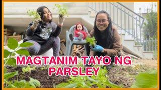 NAG TAKE OVER KAMI SA GARDENING NI NONNO