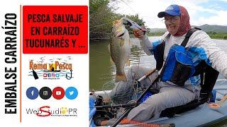 Pesca Salvaje en Carraízo y Tremendas Mega Capturas - Pesca en kayak en Puerto Rico - Rema y Pesca