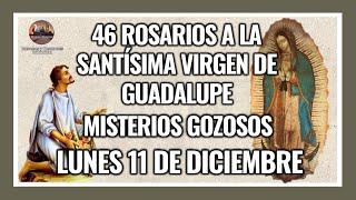 46 ROSARIOS A LA VIRGEN DE GUADALUPE: MISTERIOS GOZOSOS - GUADALUPANO / LUNES 11 DE DICIEMBRE 2023.