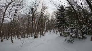 Buddy Laps - Wood Lot to Wild Turkey - Sugarbush (2025)