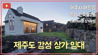 제주도 감성 주택같은 상가 임대 제주시 애월읍 돌담.건물2동.풀옵션 제주도전문부동산채널 올레길TV