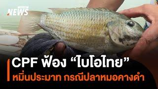 "ซีพีเอฟ" แจ้งความ "ไบโอไทย" ฐานหมิ่นประมาท กรณี "ปลาหมอคางดำ" | Thai PBS News