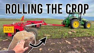 That's some Big Rocks! | Crop Update | Vlog 396