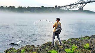 Casting the Cape Cod Canal for EXPLOSIVE Stripers!!!