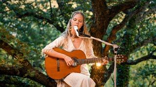 Forest Dreaming - 1 hour Healing Angelic Music - Ground Yourself in Peace