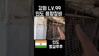 LV.99강화 인도스피커