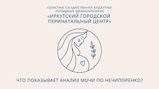 Что показывает анализ мочи по Нечипоренко?