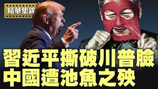 川普一怒祭出EDA 禁令鎖喉習共；中國留學生將被全數踢出美國，正是遭中共池魚之殃。【每日直播精華｜天亮時分】05302025
