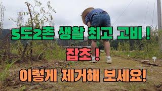 주말 5도2촌 생활의 최고 고비! 잡초! 이렇게 제거해보세요.