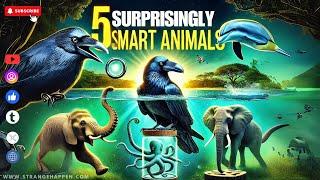 Top 5 Animals Smarter Than You Think | Mind-Blowing Intelligence in Nature