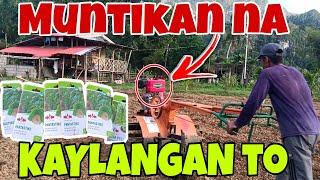 Mabuti Naagapan|Cultivation|My Province Life