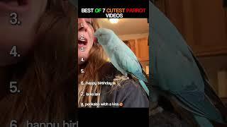 BEST OF 8 CUTEST PARROT VIDEOS #birdlovers #pets #goodvibes #compilation