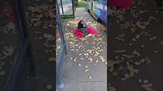 Что-то непонятное происходило на Культбазе в Ижевске.