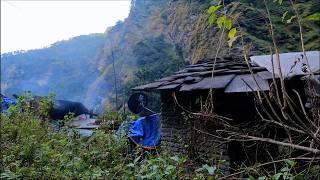 Unseen Simple Beautiful Nepali Mountain Village Lifestyle | Harmony with Nature | BijayaLimbu