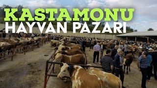 Pazarda Fiyatlar Ateş Pahası | Kastamonu Son durum !!!