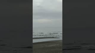 Caspian Sea North Iran #ytshorts #youtube #youtubeshorts #shortvideo