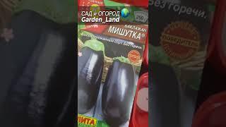 Баклажан семена #shorts #выращиваниерассады #дача #сад #огород #gardening #gardenplants #баклажан